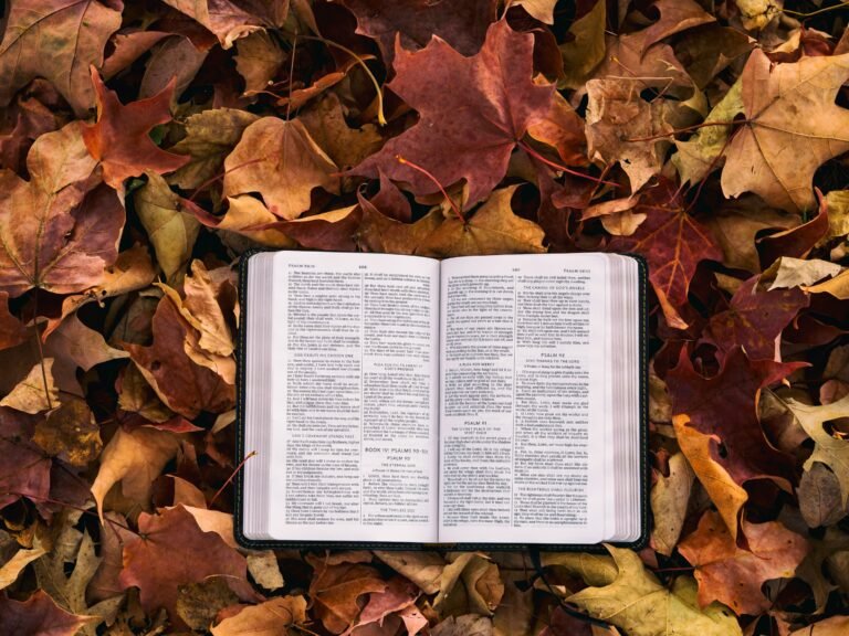 Frases cristianas para jóvenes con fe, propósito y dirección espiritual